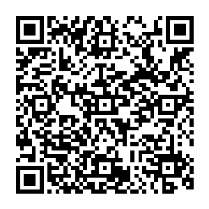 就是城外的魔化傀儡们用它们手上的那些尸体堆满累积到有摩格城北面的城墙这么高的时候二维码生成