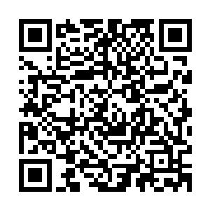 就是对方的攻击速度反映到真仙仙瞳内很可能是慢了几倍的速度二维码生成