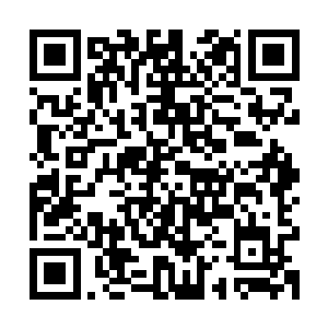 就是张瑞副市长或者陈振东这类身份不如鲁一林他们显贵的宾客二维码生成