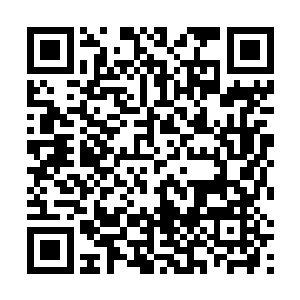 就是当日投河自尽被全嬷嬷救下后推荐给玉熙的张丽娘二维码生成