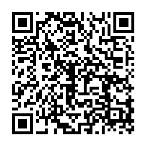 就是我金叶商团前段时间在混沌深处发现了一个强者留下的时空域二维码生成