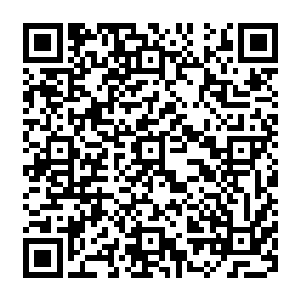 就是打算死马当作活马医的拉过去尝试一下的……而这一次秦方主动将唐菲菲拉过来介绍二维码生成