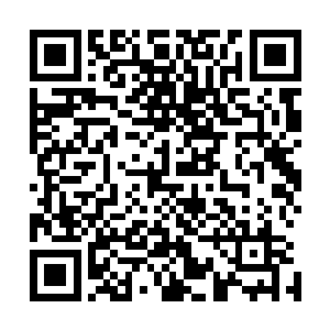 就是推翻一直站在我们头上欺压我们的满清朝廷和铁杆庄稼二维码生成