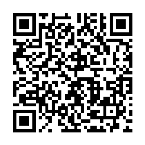 就是无名和柳清寒也完全把许紫烟当做和自己实力相当的修士二维码生成