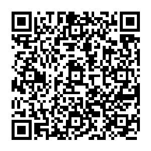 就是极力壮大你们这个全新物种的数量――这是张铁对那些蚯蚓所下达的第一个命令二维码生成