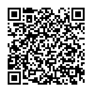 就是自己的曼殊沙华那罗延无畏鹏王金刚神体对此也可以完全无视二维码生成