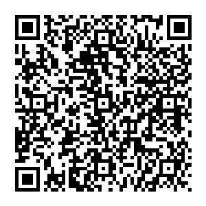 就是被它强行拉回到安全线以上的……这也是让秦方对于李无花的狂龙真罡的攻击力有了一定了解了二维码生成