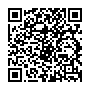就是要守护会使用灭魂引和龙凤鸣这种绝学的那一支许家血脉二维码生成