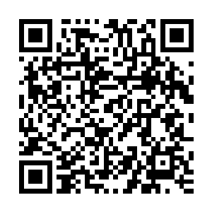 就是这个老家伙……不仅篡唆着贵族老爷给他修建一座法师塔二维码生成