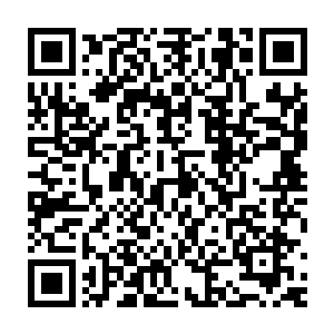 就是这样一项从生命种子阶段就开始调制和培养的前沿试验性质计划二维码生成