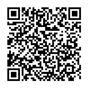 就是青制战略计划里仙道对人道拔苗助长计划的终极形态――第六仙朝二维码生成