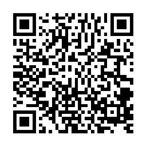 就有两拨客服经理来讯问崔磊他们晚上需不需要提前安排节目二维码生成