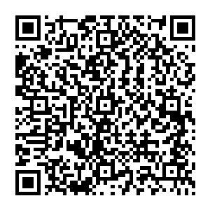 就有点类似于在海中高速飞行的时候海底巨大的水压和两股包裹着他的身体的暗流带给他的压力二维码生成