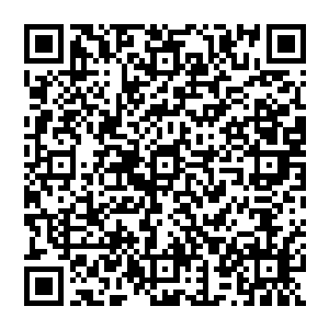 就比如你现在是在这片区域里边你使用出了这偷天换日你将会进入一片不属于这个空间的地方二维码生成