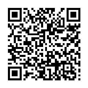 就没人敢保证敌人会不会比印度神帝和狮皇更强了二维码生成