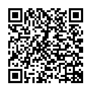就浮现百张青页……就是消化的整本天书里对应化显一百青页二维码生成