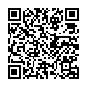 就留在具有完备通讯设施的公务机上捣鼓自己的加密电脑二维码生成