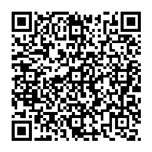就直接沿着那颠簸的楼梯向下滚去了……那坚硬的楼梯跟他的身体骨骼不断的撞击着二维码生成