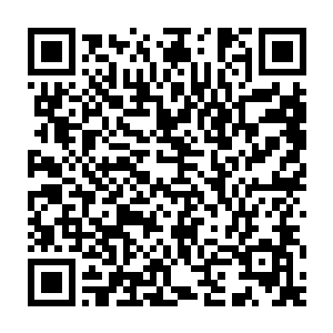 就看到十几名身穿灰色斗篷的无忧教徒将一箱箱沉重的法宝拆卸开来二维码生成