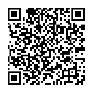 就看到姑爷家里的长辈在自己的男人面前拿出家产让自己男人表态一样二维码生成