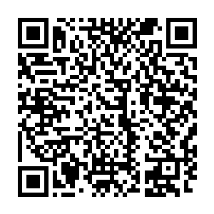 就看现在的十分钟到达二十分钟的前期能不能用小炮争取更大的优势了二维码生成