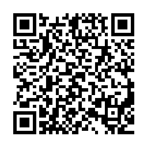就看着自己的头头一本正经得跟同样一本正经的肉票讨价还价二维码生成