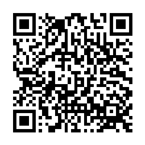 就砰砰砰……一脚又一脚地将一个又一个的黑衣保镖给踹飞了二维码生成