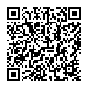 就立刻在朦胧的记忆中想起似有人在他昏睡之时喂他喝过羊乳的片段二维码生成