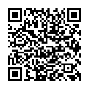就算从它们身边经过也只是咆哮一声警告他们要打你们自己打二维码生成