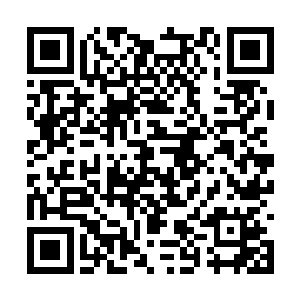 就算他们找到了也不一定会采取什么不理智的行动二维码生成