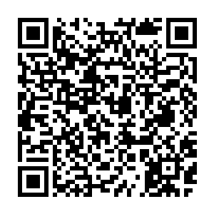 就算以他第一境界炼体士的身体条件想要硬抗tnt炸弹的威力也是痴人说梦二维码生成