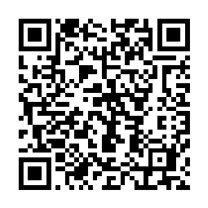 就算你牛爷爷我不用那神秘的小珠子也可以轻易的解决掉你二维码生成