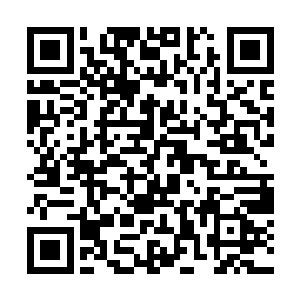 就算再傻再木的人也知道混淆皇室血统是个什么罪名二维码生成