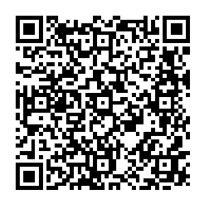 就算十大天仙联手也不可能几天就推演出……推演出也不可能这样具备生机灵活……二维码生成