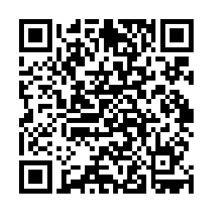 就算合作一时半会也无法让他们的人得到更多的精灵宝钻二维码生成