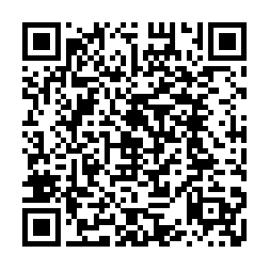 就算地球上最强大国家美国总统先生在布拉德眼里也不过只是他操纵的傀儡而已二维码生成