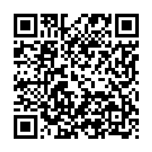 就算我今天可以当众许诺让你继承我邹氏正骨的衣钵又怎么样二维码生成