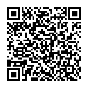 就算我家里那帮老不死的如果见了夏天也绝对会和我一样佩服他的二维码生成