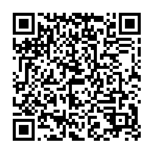 就算我是神仙也没办法在这么短的时间内把整个位面的实力拉起来啊二维码生成