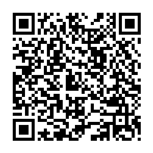 就算把汪家的人全都拉出去枪毙都无法弥补他们把国家拉入动荡深渊的过错二维码生成