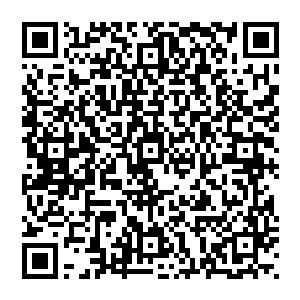 就算拿钱砸也未必会真的有什么太大的效果――毕竟能够制作cg动画的高端人才不是拿钱砸就能培养出来的二维码生成