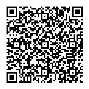 就算换他自己来也不一定能够站着动都不动就那么从容的把自己的攻击接下来――毛都不掉一根二维码生成