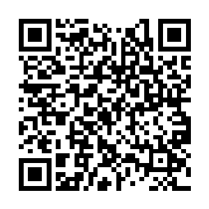 就算是一个普通的龙族要是无缘无故的被击杀的话二维码生成