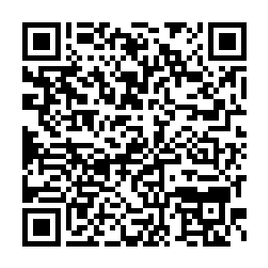 就算是以龙王奥斯卡的实力也没有把握轻易击破这双头巨鹰的防御二维码生成