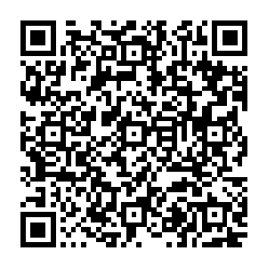 就算是修真对实力的提升十分的迅速恐怕也很少有人能够在这么短的时间内提升到渡劫期吧二维码生成