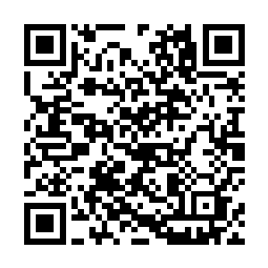 就算是先天高手全力一击也很难在上面留下任何的印记二维码生成