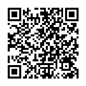 就算是其他几大巨头也是一脸诧异的看着眼神真挚的罗格二维码生成