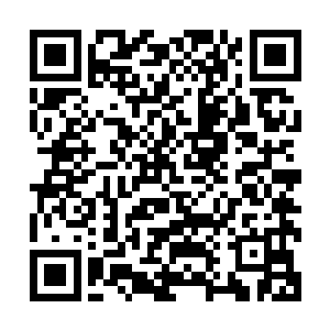 就算是在他们所在的圣地之中也绝对能够获得一个不错的地位二维码生成