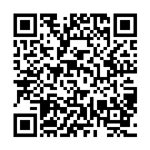 就算是在外面开一个小医馆也要比在皇宫里面的日子舒服二维码生成