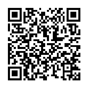 就算是夏天的速度稍微慢上一点也和找死没有什么区别二维码生成